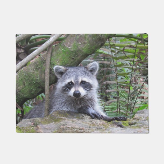 Adorable Raccoon Doormat (Front)