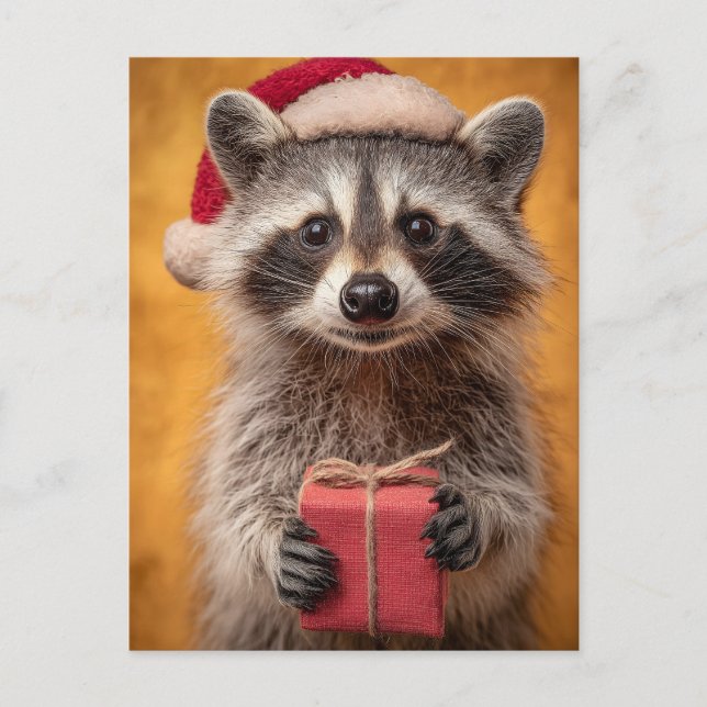 Adorable Raccoon in a Santa Hat Holding a Present Postcard (Front)