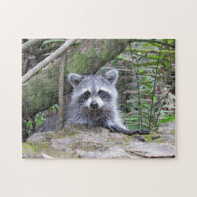 Adorable Raccoon in the Forest Jigsaw Puzzle (Horizontal)