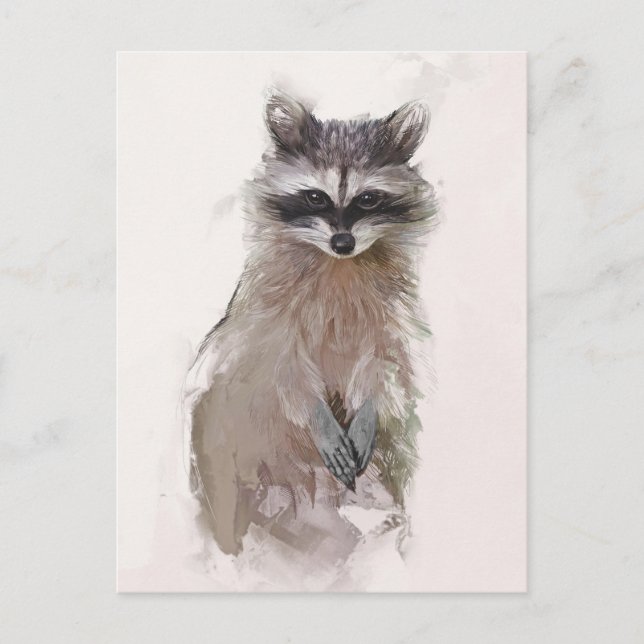 Adorable Raccoon Portrait Postcard (Front)