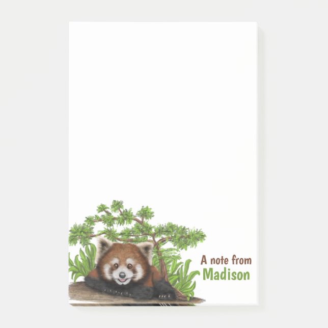 Adorable Red Panda Kids Personalized Post-it Notes (Front)