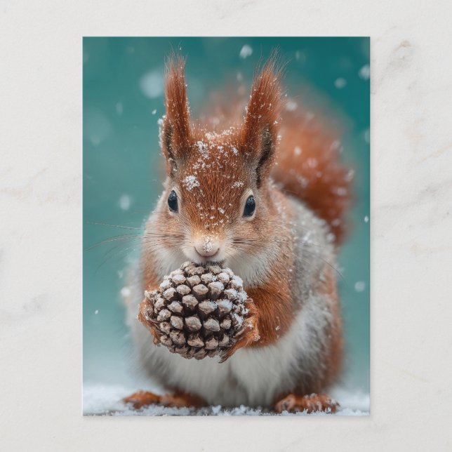 Adorable Red Squirrel in the Snow with a Pinecone Holiday Postcard (Front)