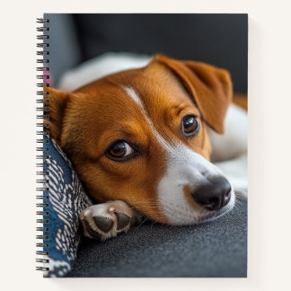 Adorable Resting Dog Notebook