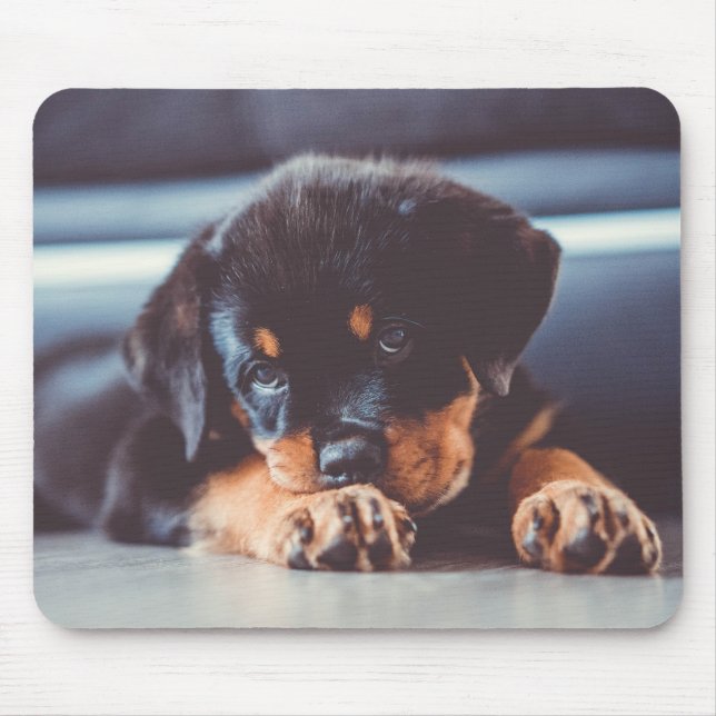 Adorable Rottweiler Puppy Dog Resting Mouse Pad (Front)