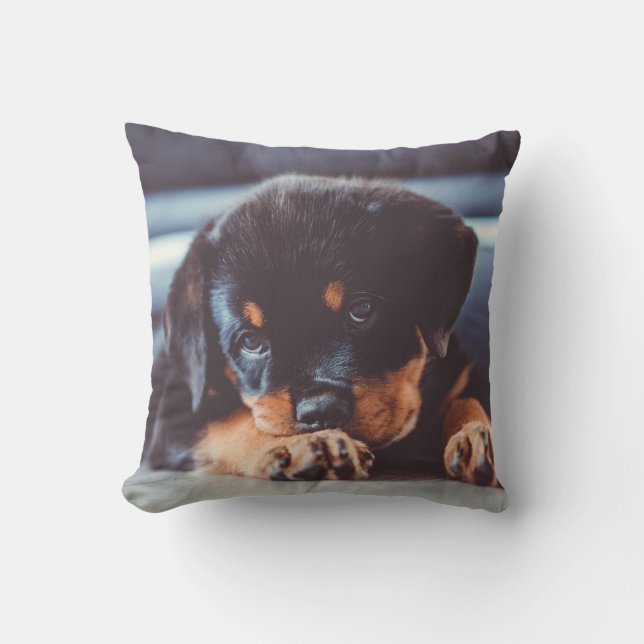 Adorable Rottweiler Puppy Dog Resting Throw Pillow (Front)