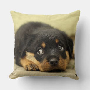 Adorable Rottweiler Puppy Throw Pillow