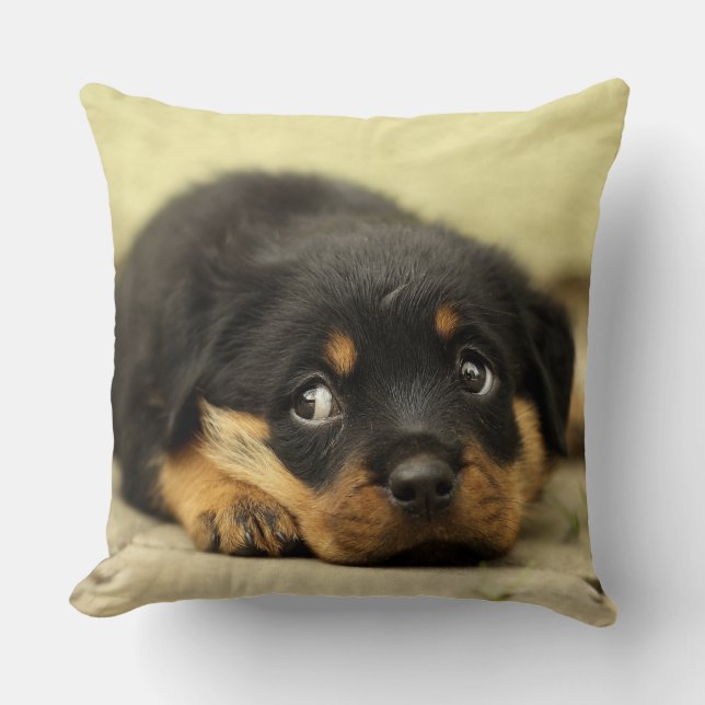Adorable Rottweiler Puppy Throw Pillow (Front)