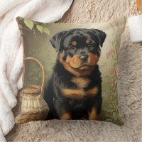 Adorable Rottweiler