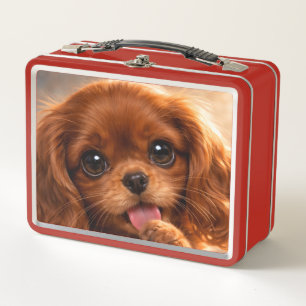 Adorable Ruby Cavalier Spaniel Metal Lunch Box