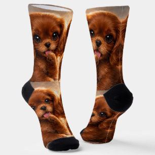 Adorable Ruby Cavalier Spaniel Socks