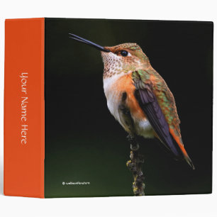 Adorable Rufous Hummingbird on Branch Binder