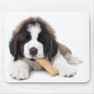 Adorable Saint Bernard Puppy Chewing on a Dog Bone Mouse Pad