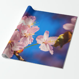 Adorable Sakura Blossoms Wrapping Paper