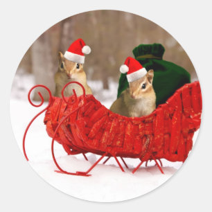 Adorable Santa Baby Chipmunks in Sleigh Classic Round Sticker
