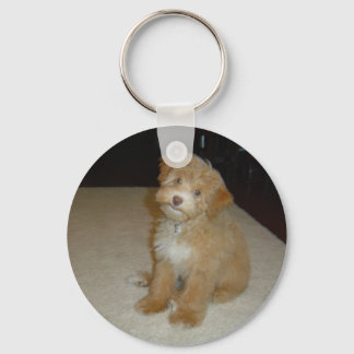 Adorable Schnoodle puppy Keychain