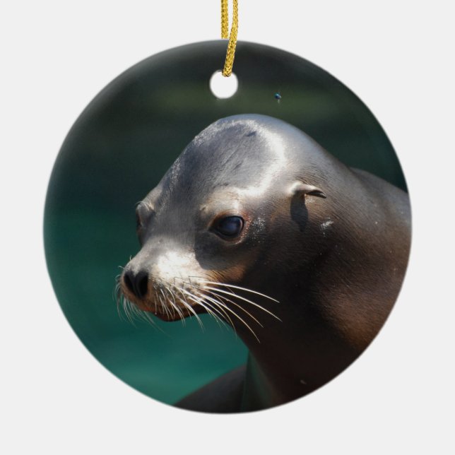 Adorable Sea Lion Ceramic Ornament (Front)