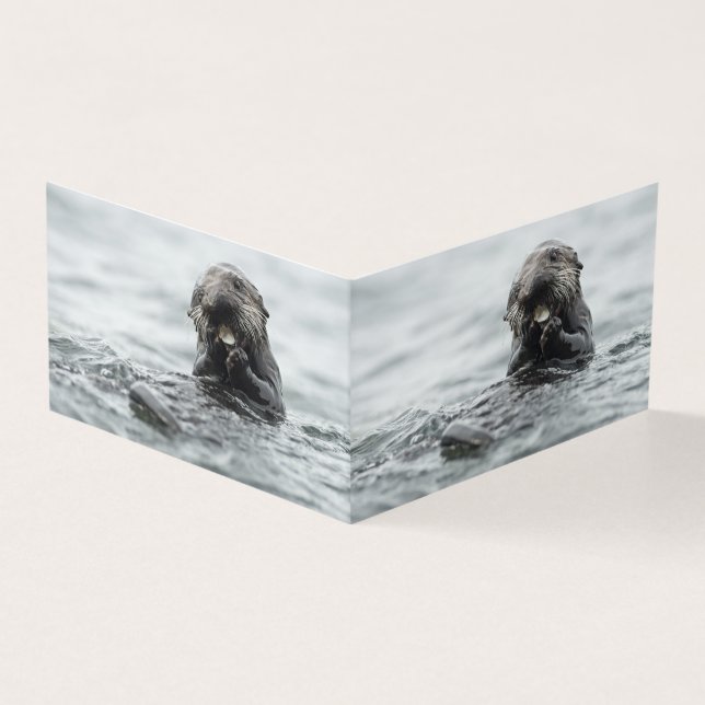 Adorable Sea Otter (Outside)