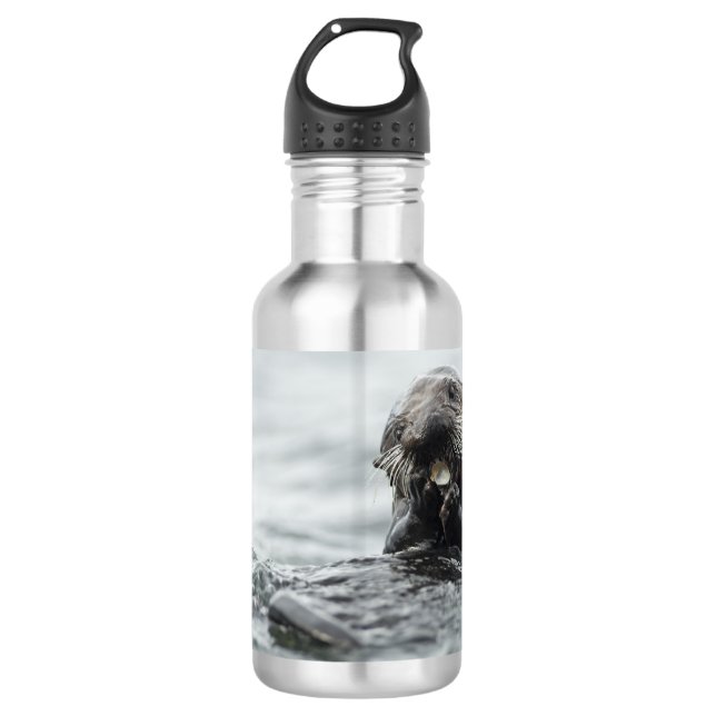 Adorable Sea Otter 532 Ml Water Bottle (Front)
