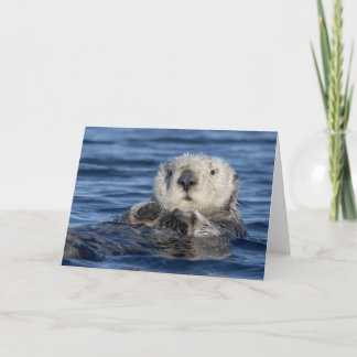 Adorable Sea Otter Card