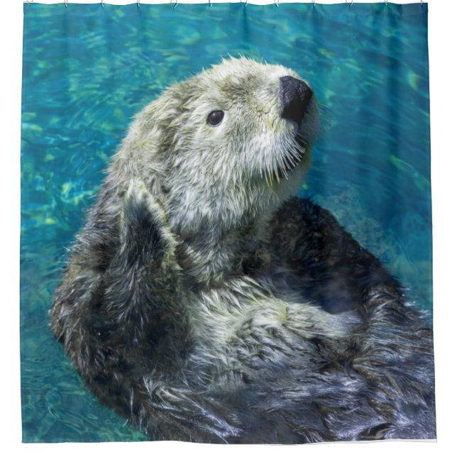 Adorable Sea Otter Cute Blue Water (Front)