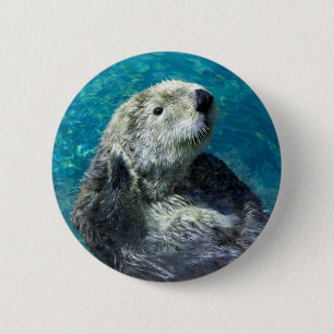 Adorable Sea Otter Cute Blue Water 2 Inch Round Button