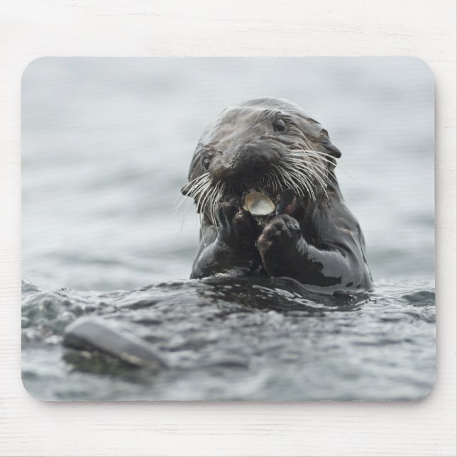 Adorable Sea Otter Mouse Pad (Front)