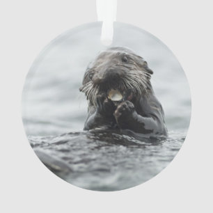 Adorable Sea Otter Ornament