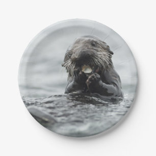 Adorable Sea Otter Paper Plate
