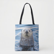 Adorable Sea Otter Peeks