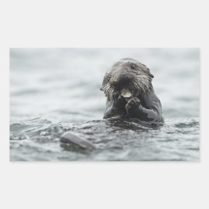 Adorable Sea Otter Sticker