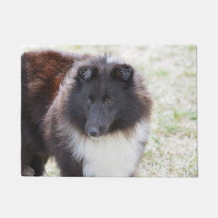 Adorable Sheltie Doormat