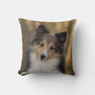 Adorable Sheltie Throw Pillow