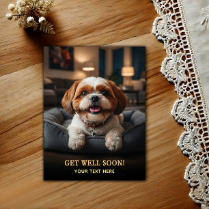 Adorable Shih Tzu Get Well  Postcard