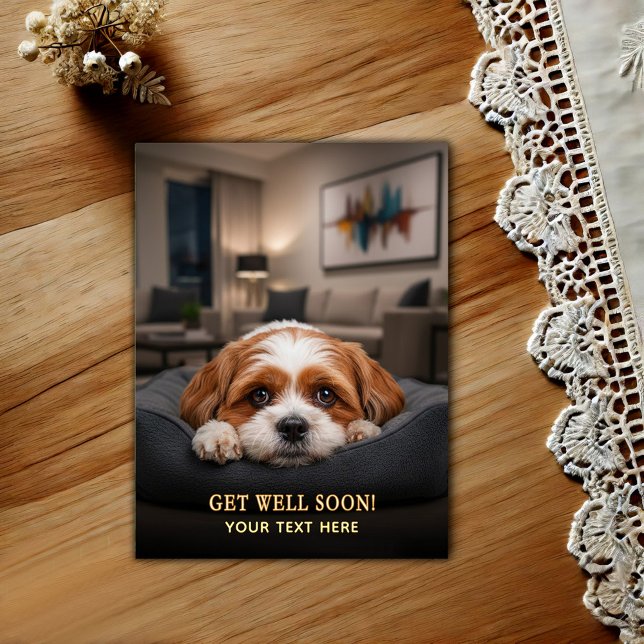 Adorable Shih Tzu Get Well  Postcard (Creator Uploaded)