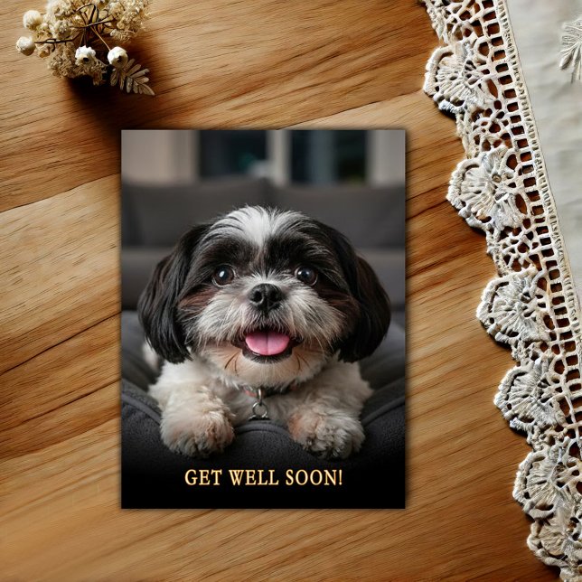Adorable Shih Tzu Get Well  Postcard (Creator Uploaded)