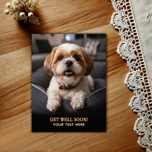 Adorable Shih Tzu Get Well Postcard