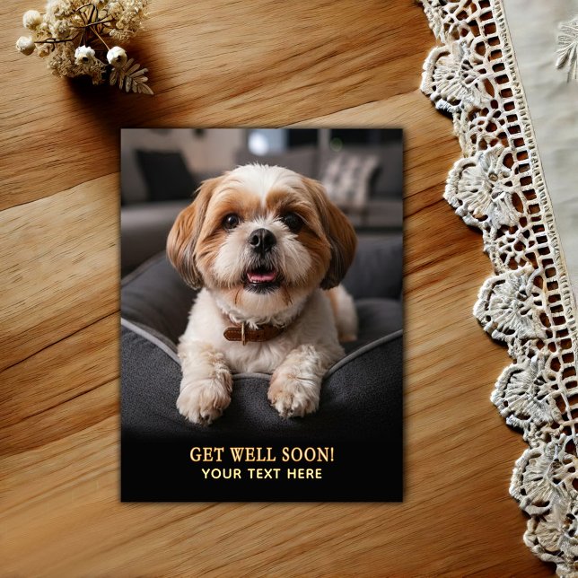 Adorable Shih Tzu Get Well  Postcard (Creator Uploaded)