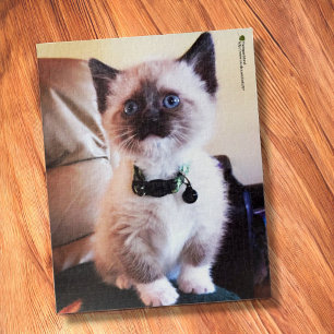 Adorable Siamese Kitten Blue Eye Close-up Photo Jigsaw Puzzle