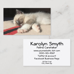 Adorable Siamese Kitten Photograph Animal Day Care Business Card
