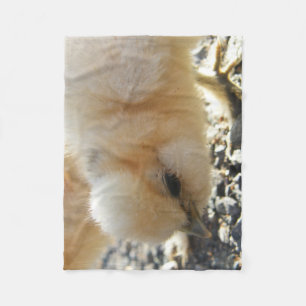 Adorable Silkie Chick Fleece Blanket