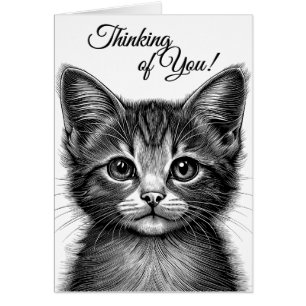 Adorable Sketch of Young Cat Blank Inside