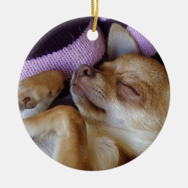 Adorable Sleeping Chihuahua Puppy Ceramic Ornament (Front)