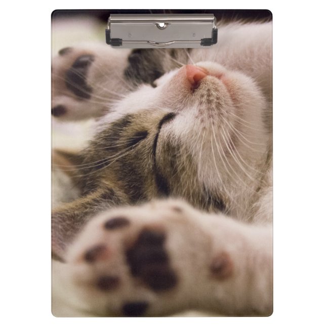 Adorable sleeping kitten clipboard (Front)