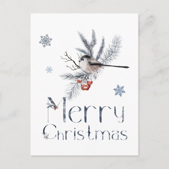 Adorable Small Bird Sits On A Pine Branch Postcard (Front)