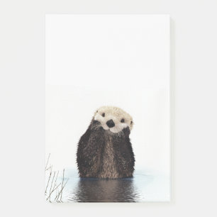 Adorable Smiling Otter in Lake Post-it Notes