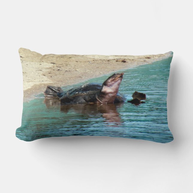 Adorable Soft Shell Turtle Lumbar Pillow (Front)