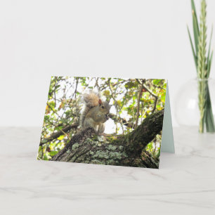Adorable Squirrel Gretting Card