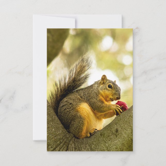 Adorable Squirrel Personalized Greeting Card (Front)