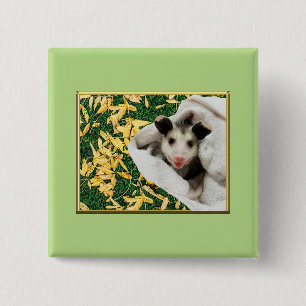 Adorable Sweet Baby Opossum 2 Inch Square Button