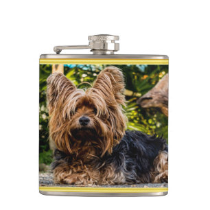 Adorable sweet Yorkshire terrier gold foil design Hip Flask